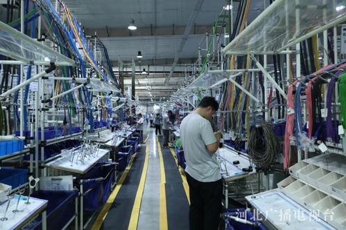 協(xié)同發(fā)展譜新篇丨數智賦能 產業(yè)筑基 廊坊在京津冀協(xié)同中打造增長新引擎