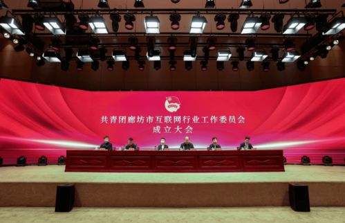 共青團(tuán)廊坊市互聯(lián)網(wǎng)行業(yè)工作委員會正式成立，為本地企業(yè)網(wǎng)站建設(shè)注入青春動能